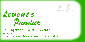 levente pandur business card